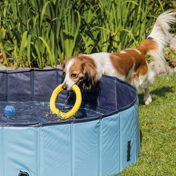 prospekt juli bubbelbild abkuehlung fuer den hund 360x360